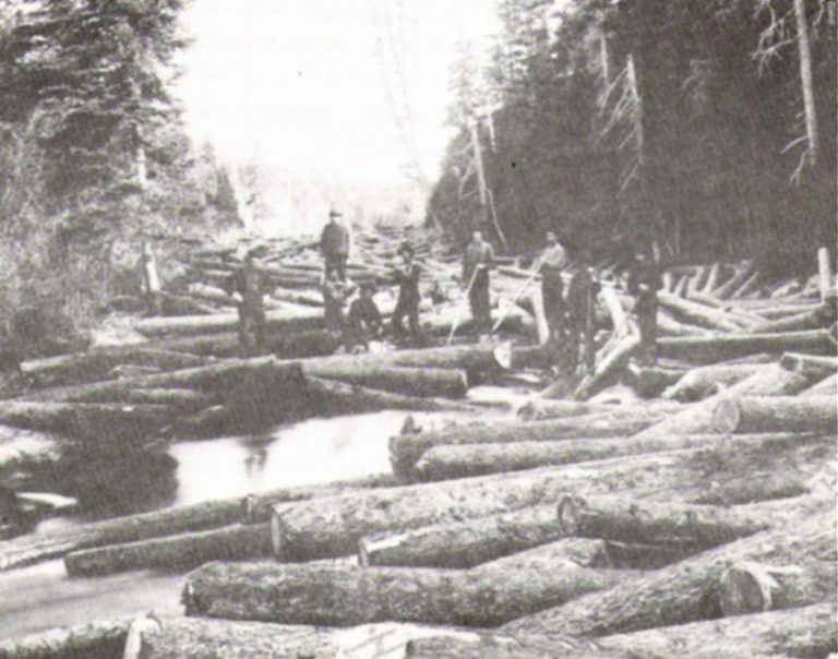 Log jam Miramichi 768x604